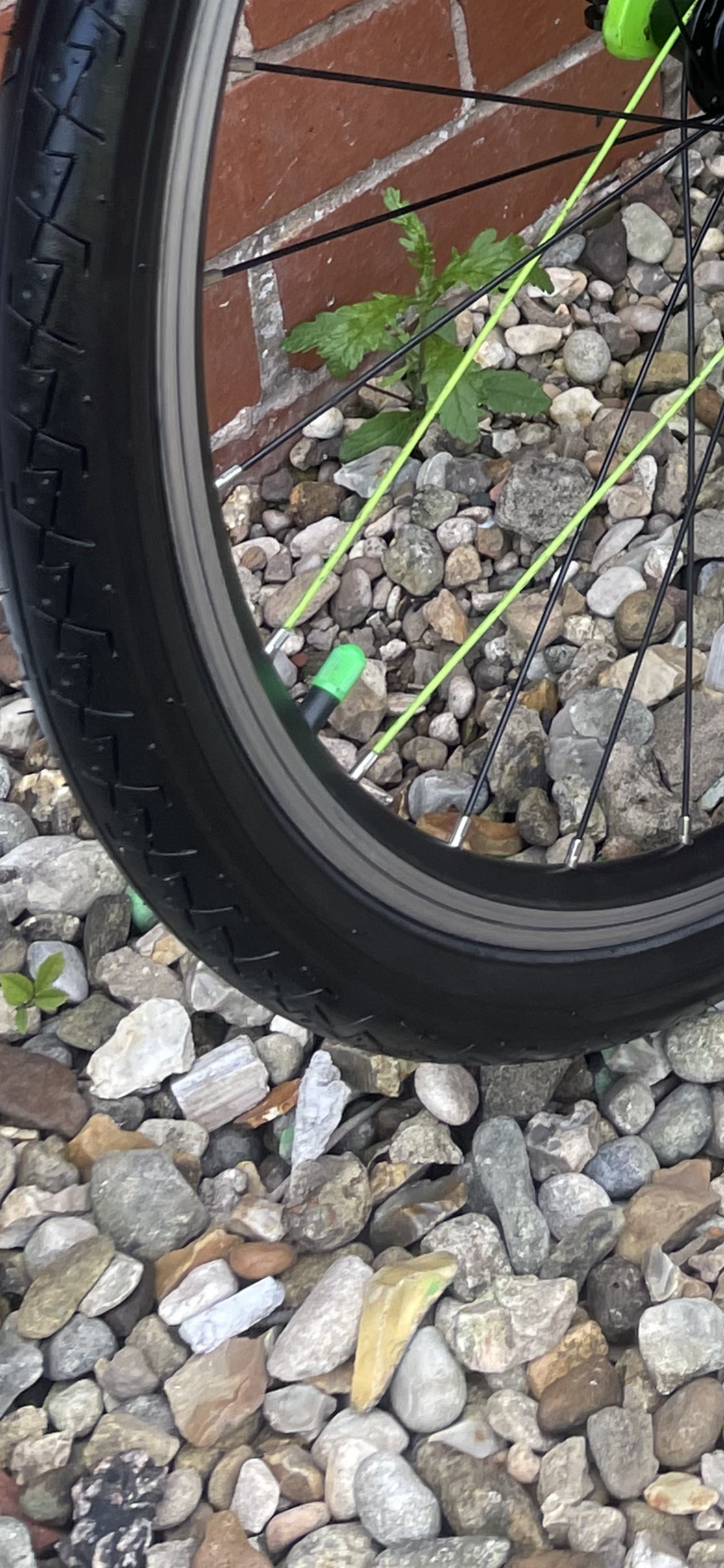 Three54 ride store Florescent Green valve cover / dust caps. These look awesome on any Frog bike that has the two green wheel spokes and green detailing. Sold as a pair.