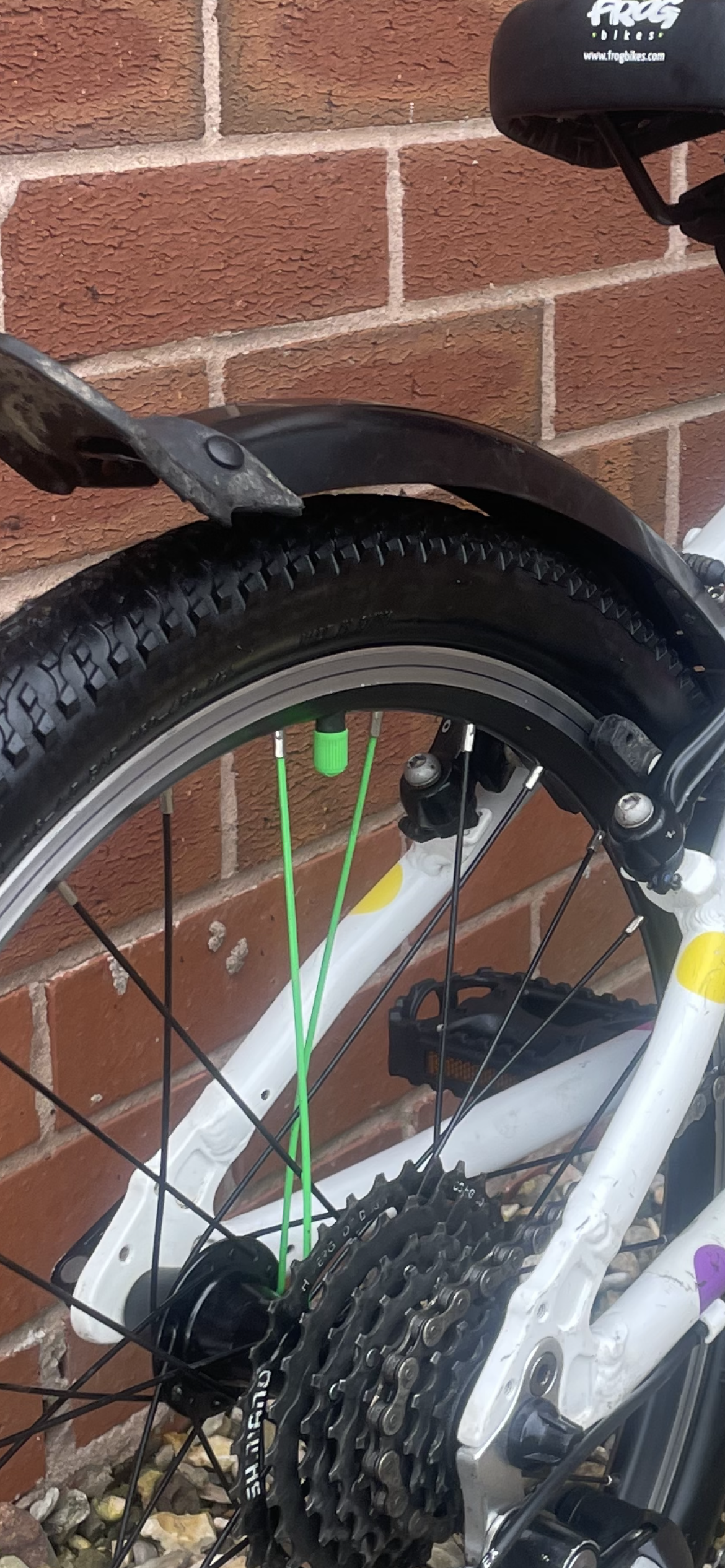 Three54 ride store Florescent Green valve cover / dust caps. These look awesome on any Frog bike that has the two green wheel spokes and green detailing. Sold as a pair.