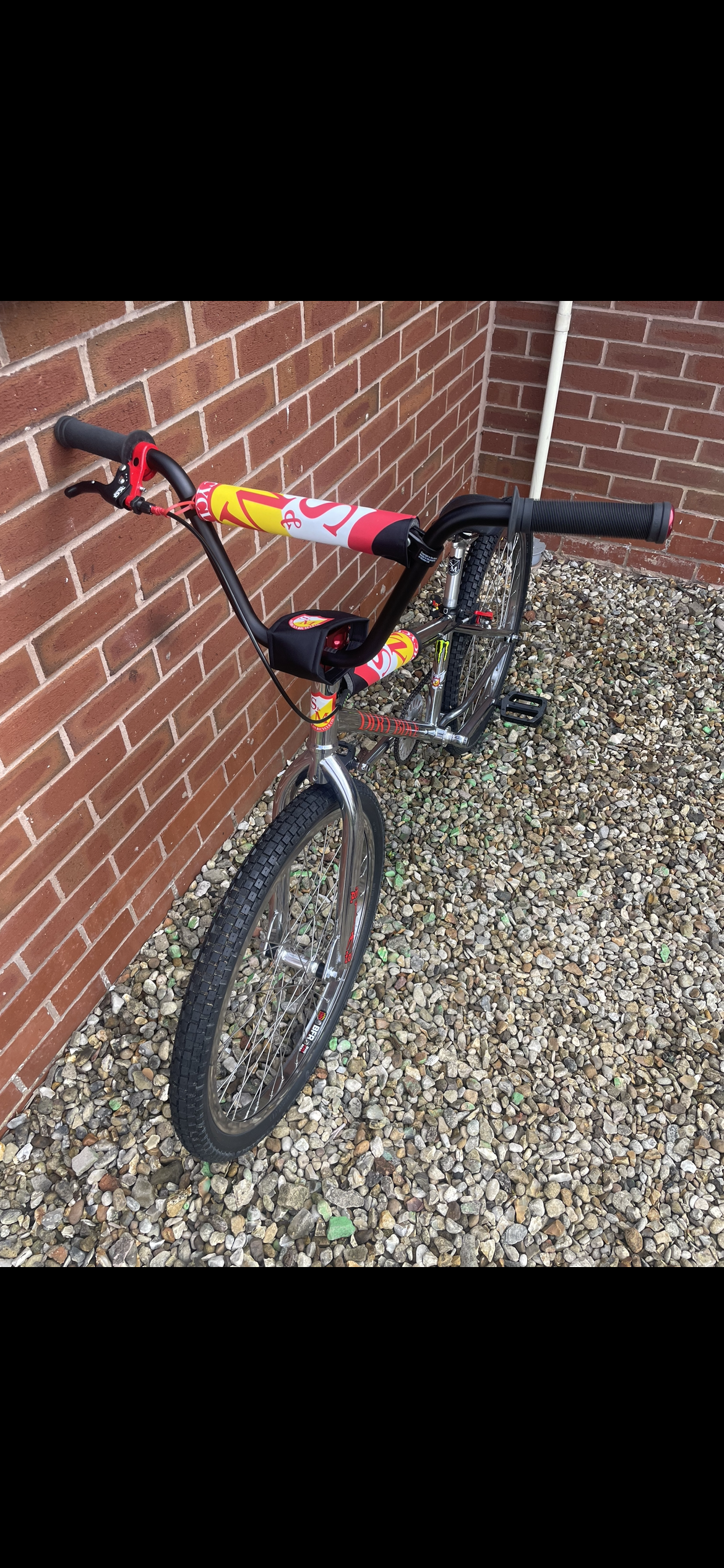 Bmx race sales cruiser for sale