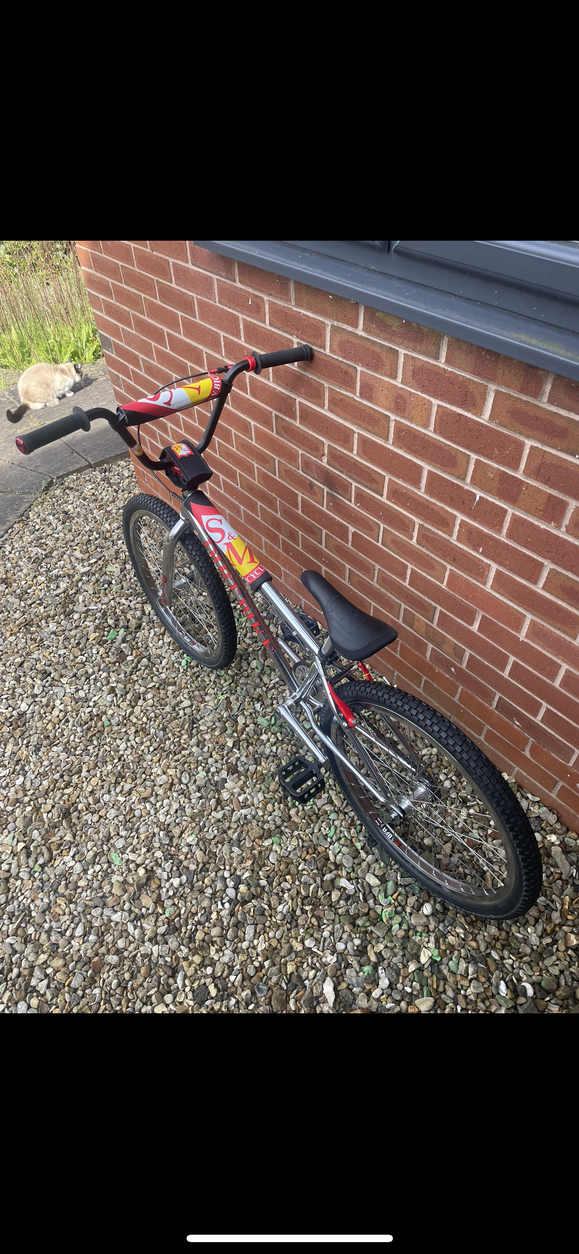 Used 24 bmx cruiser bikes deals for sale